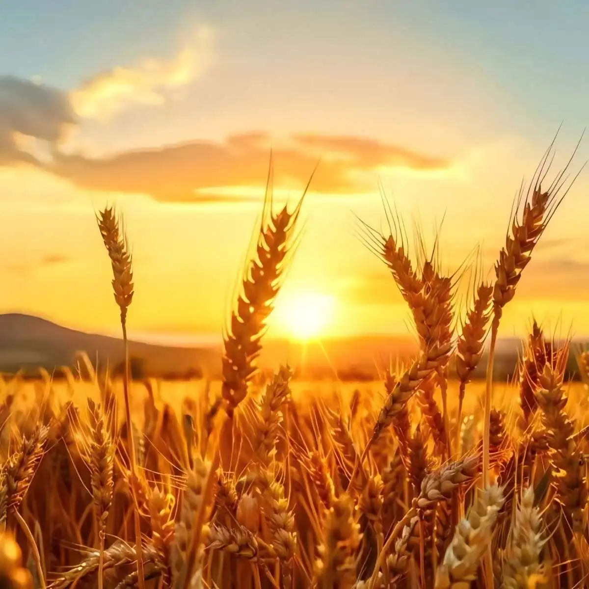 

Добавьте дополнительное обновление особенности для компенсации разницы в цене и почтовых расходов.