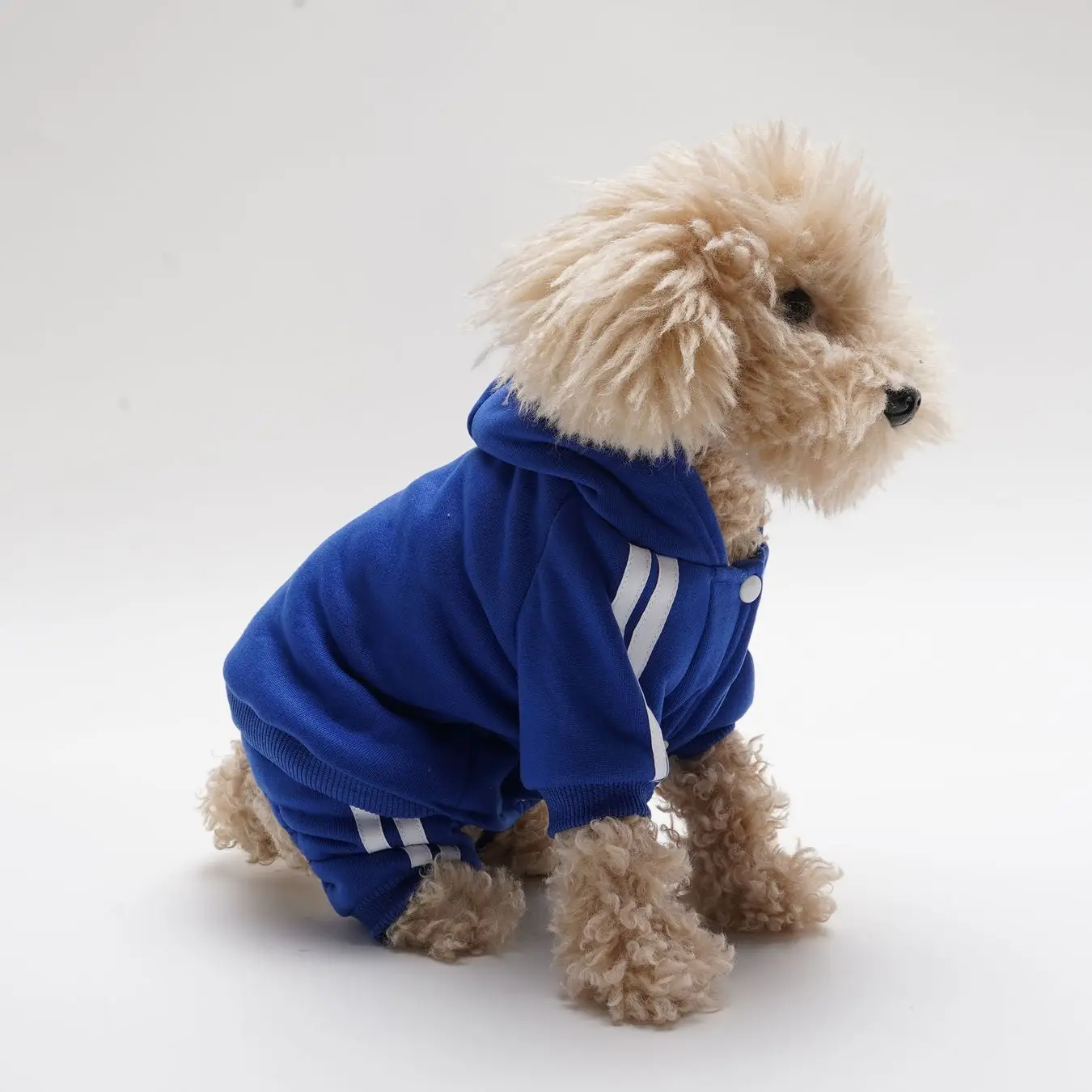 Autumn Winter Hooded Casual Pet Dog Sweatshirt Striped Sports Pants Solid College Style Sportswear Set for Dogs