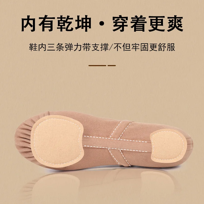 Chaussures de danse en tissu entièrement élastique pour femmes, chaussures d'entraînement du corps à semelle souple, griffe de chat, danse classique chinoise