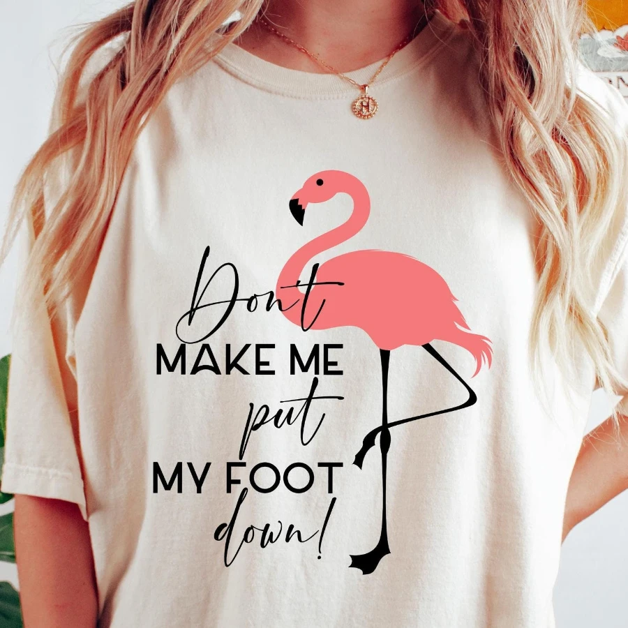 Funny Flamingo T-shirt, Don't Make Me Put My Foot Down Flamingo Shirt, Sarcastic Women Sweatshirt, Flamingo Lover Gift, Cute