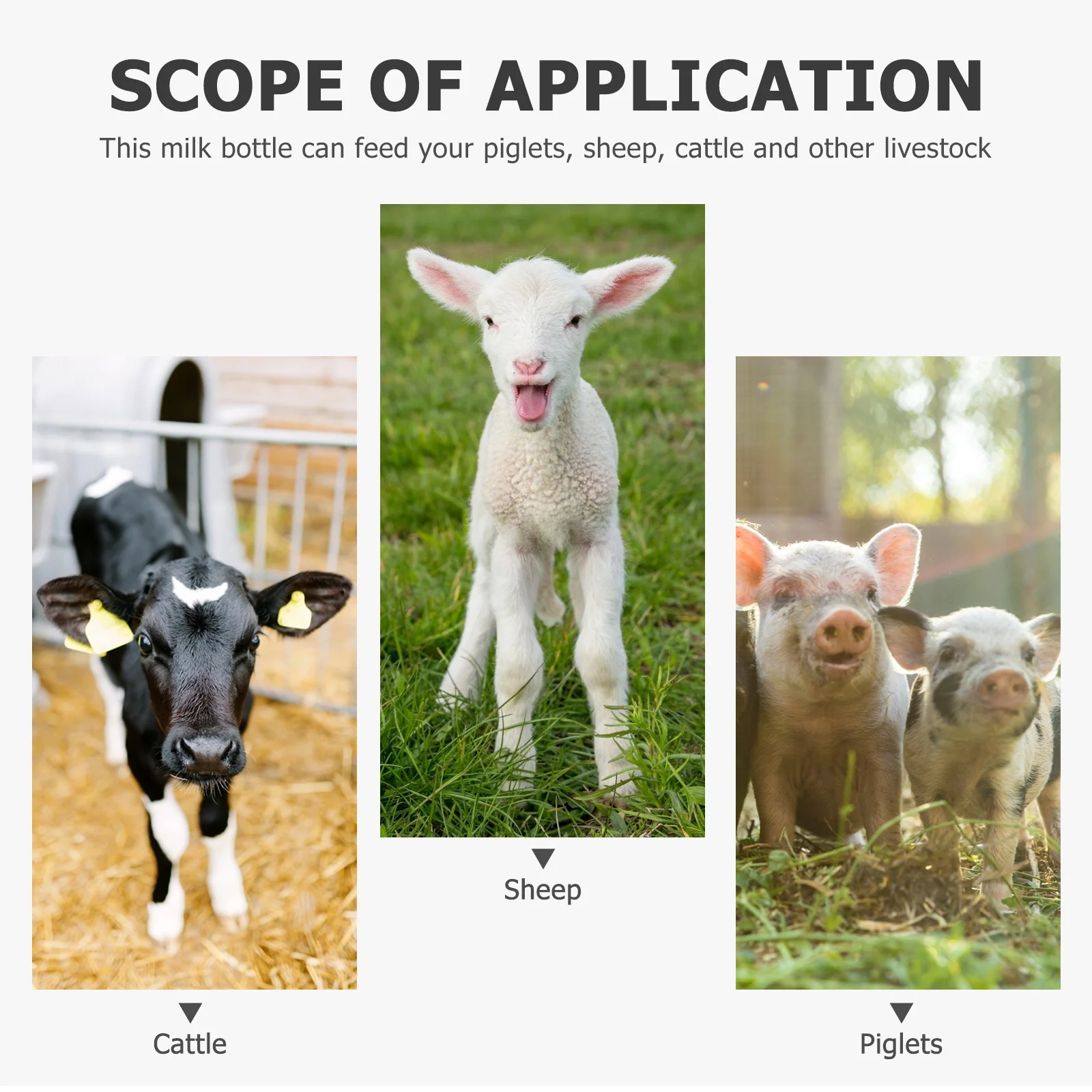 

2 set Calf Feeding Bottle Milk Bottle For Livestock Nursing Lightweight Portable Leakage-Proof Durable Farm Animal