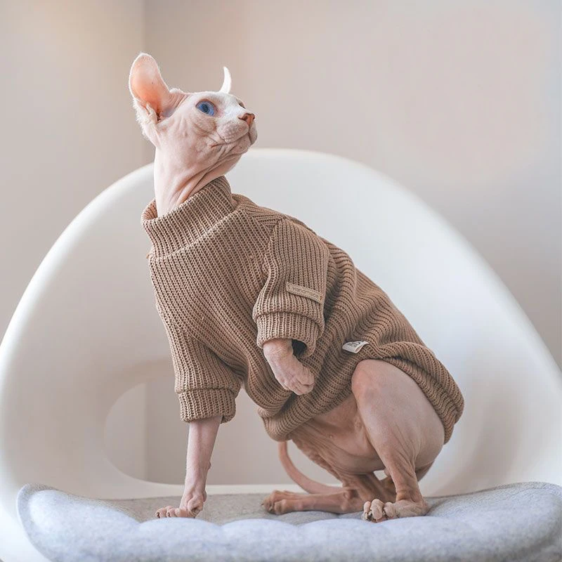 Coffee Cotton Sweater for Cat 2-legged Winter Coat for Sphynx Warm Sweatshirt for Kittens Soft Loungewear for Devon Rex