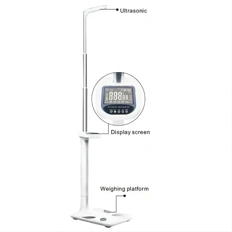 آلة تحليل تكوين الجسم بالكامل، محلل مقياس الوزن والارتفاع في صالة الألعاب الرياضية، مؤشر LED، نوع قابس الاتحاد الأفريقي لتحليل الدهون في جسم الإنسان #3