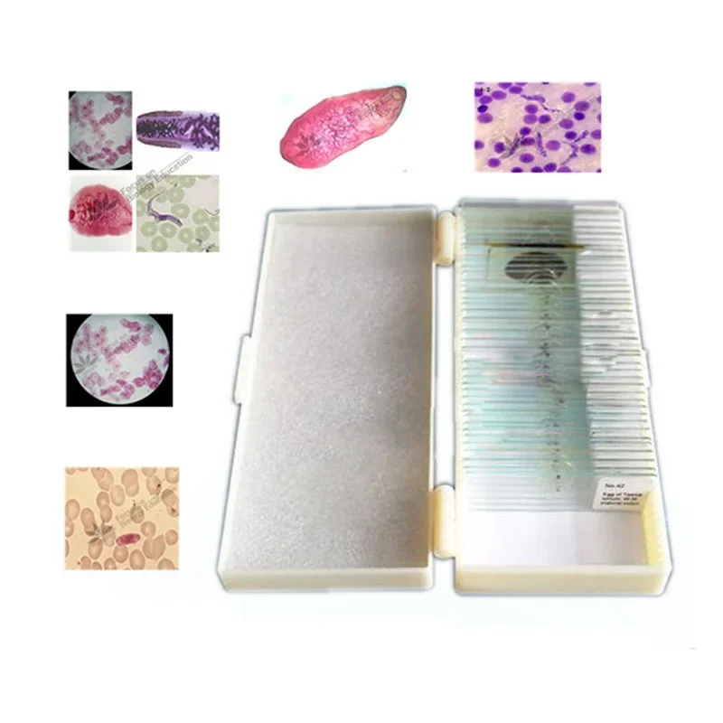 42pcs Microscope Slides Parasites Biological Specimen Slides for Parasitology Teaching Research Medical Microscopio Tools TVE