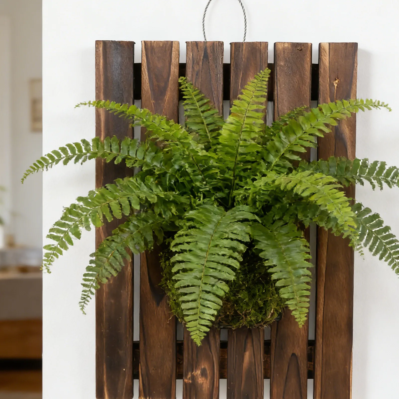 حامل نباتات خشبي معلق للجدران  - مراجعة Vertical Wall Planter وسعره