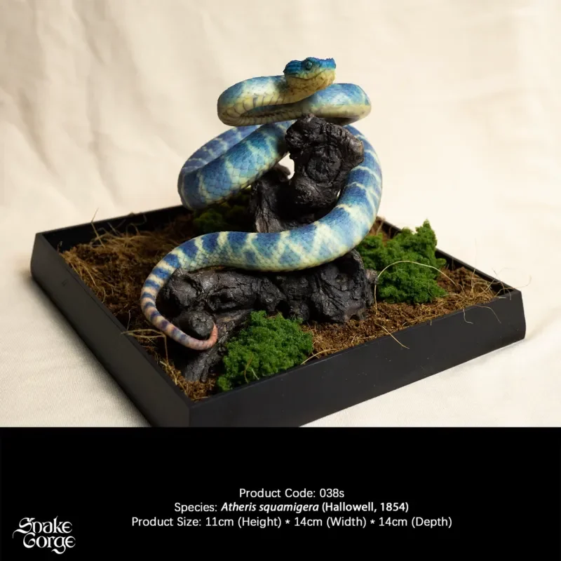 Micro Landscape Miniature Scale Tree Viper Model Animal Figure Indoor Tabletop Decoration Realistic Snake Statue Resin Model