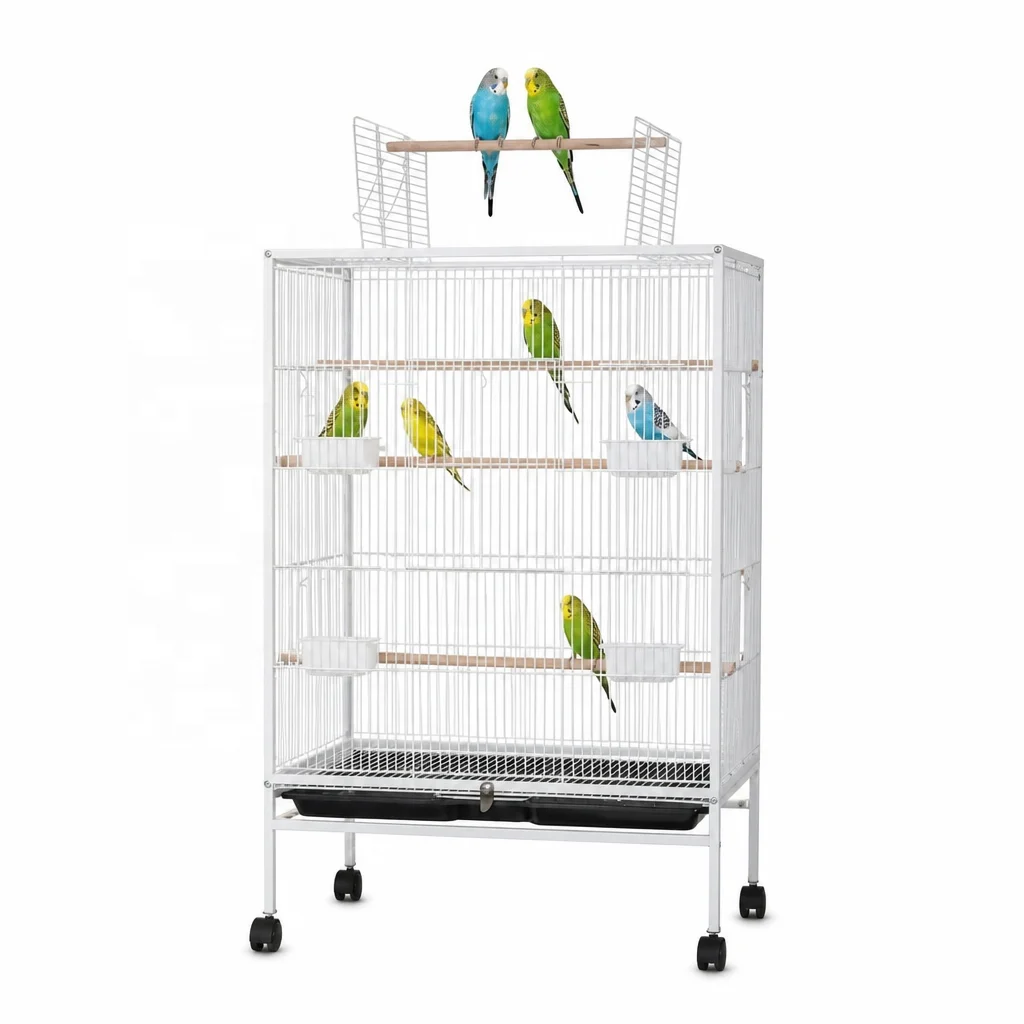 New Arrival Luxury Iron Bird Cage For Parrots Eco-Friendly Design Medium-Large Size Seed Cups Slide-Out Tray Multi-Bird Flock