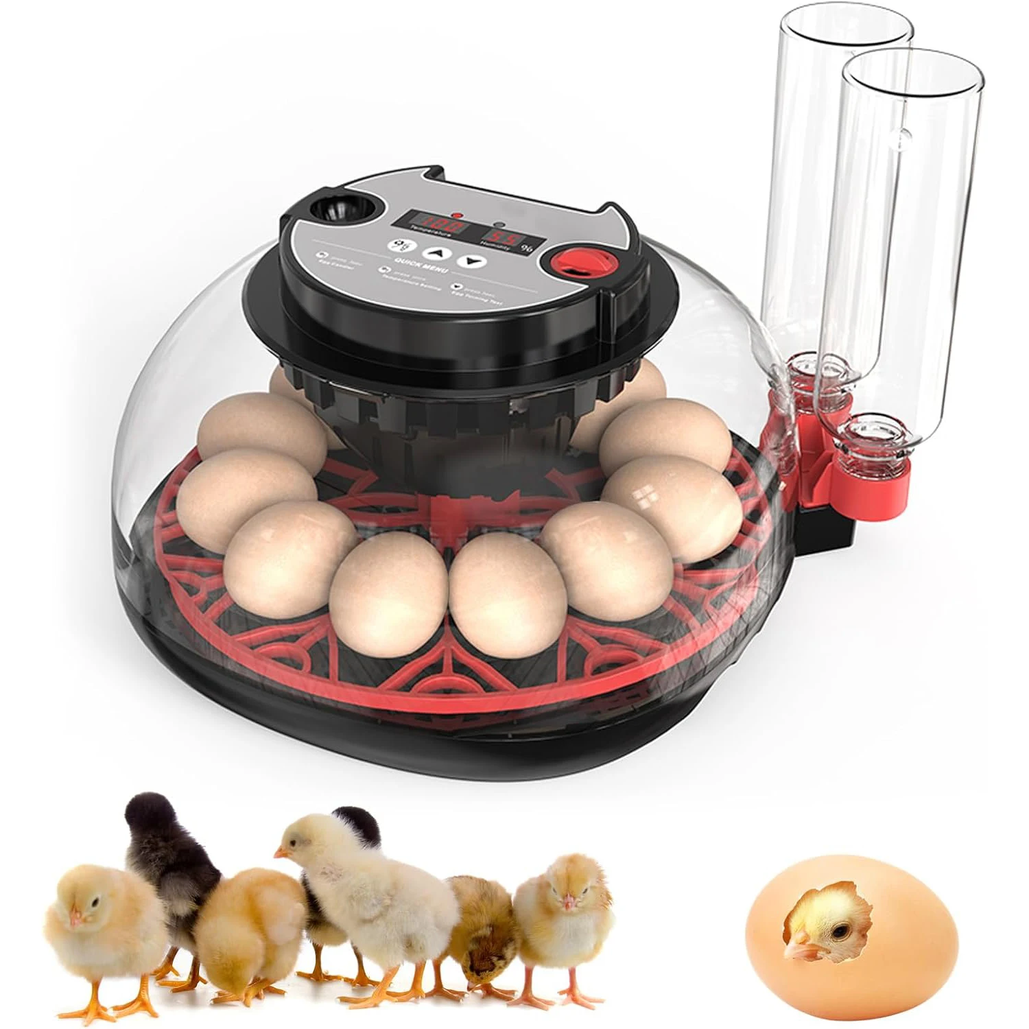 Image of Brutmaschinen für Eier, automatischer Eierinkubator mit Temperaturkontrolle, Feuchtigkeitsanzeige, 12 Eier Kapazität für Hühner-, Enten- und Gänseeier, digitale Anzeige, automatischer Wendemechanismus