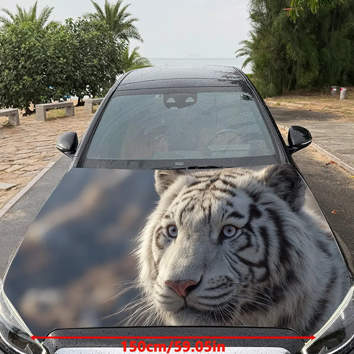 Car Decals A White Tiger Delivering Piercing Gaze And Vivid Detail In A Natural, Close - Up Composition Car Hood Sticker, Waterp