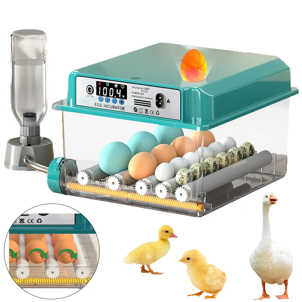 Incubadora de 12-16 huevos, Mini incubadora de huevos con función automática de giro y humidificación de huevos, enchufe europeo