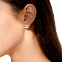 Boucles d'oreilles Smyoue Flower All Moissanite pour femmes, entièrement serties de diamants, taille ronde, scintillantes, bijoux pour filles, argent pur 925 plaqué or 18 carats 6