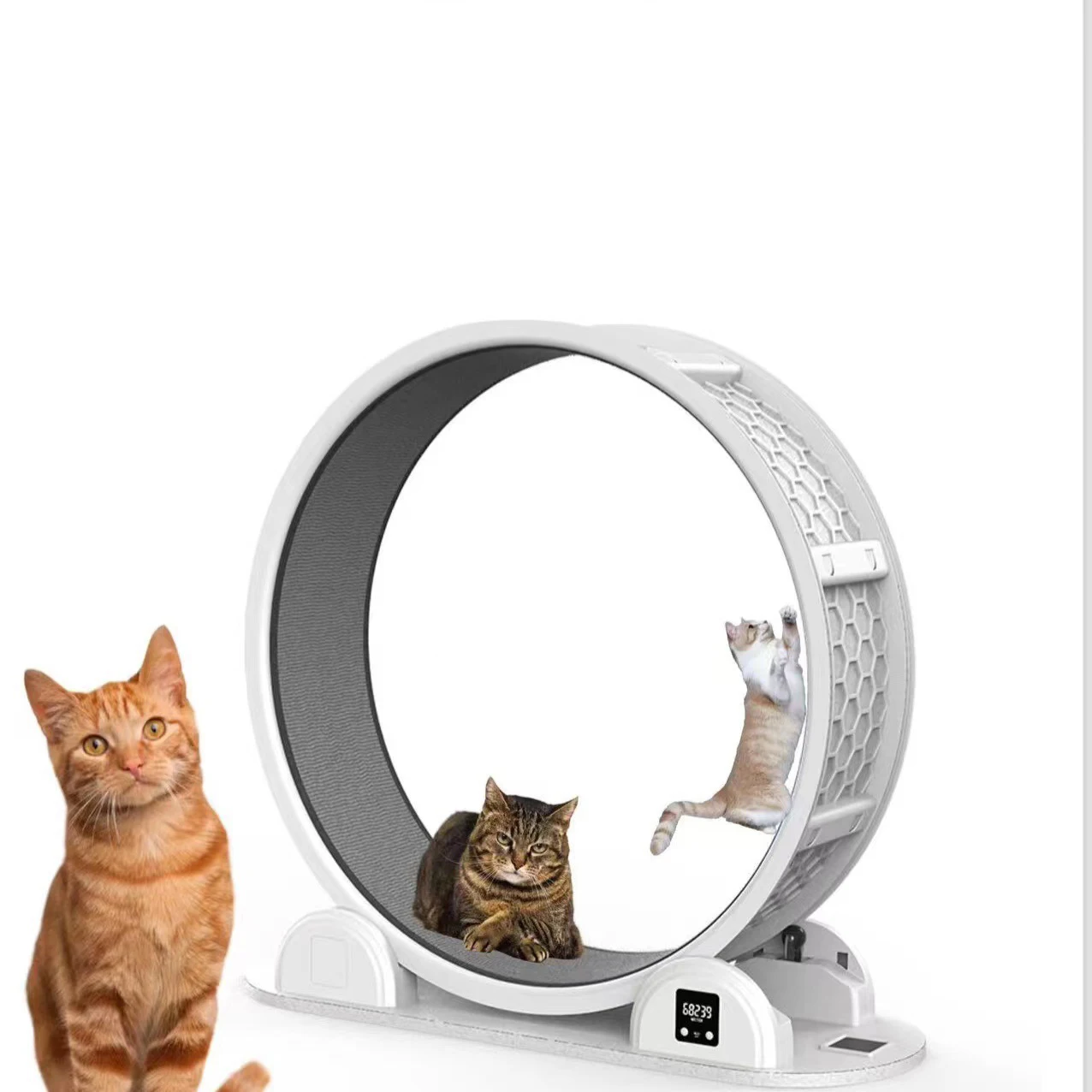 Step Count Solar Charging Cat Exercise Treadmill Wheel Indoor Pet Running Scratching Exercise Wheel Cat Treadmill