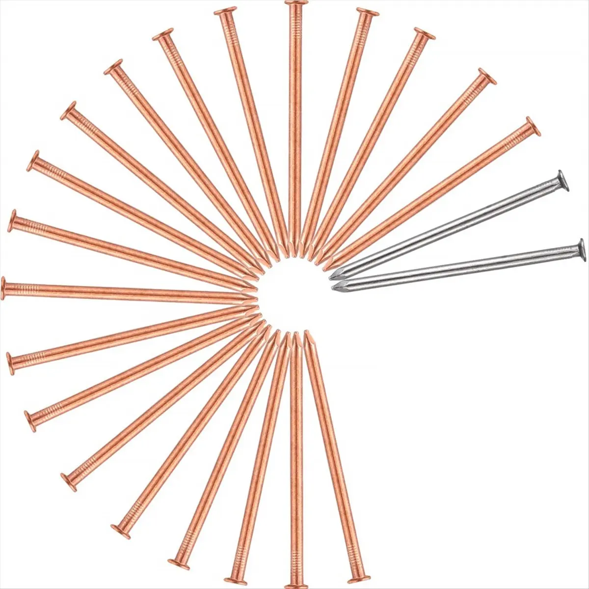 A72P 20Pcs Copper Nails for Killing Trees Stump Root 3.5 Inch Long Nail Spikes, Stump Removal Spikes with 2 Pcs Steel Nails