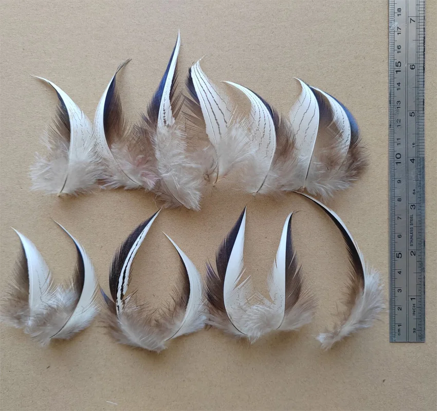 100Pcs/Lot! 5-9cm Pheasant Feathers, Natural Black&white Silver Pheasant Plumage Feathers,Feathers Natural