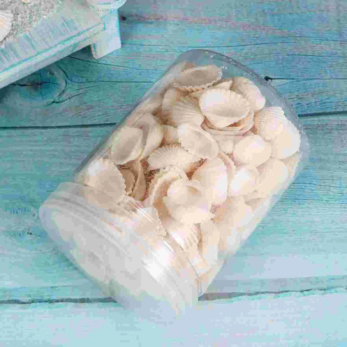 Natural Shell naments Scallop Accessories Small Decor Pendant Jewelry Craft Supplies Lightweight Safe Plastic Bottle