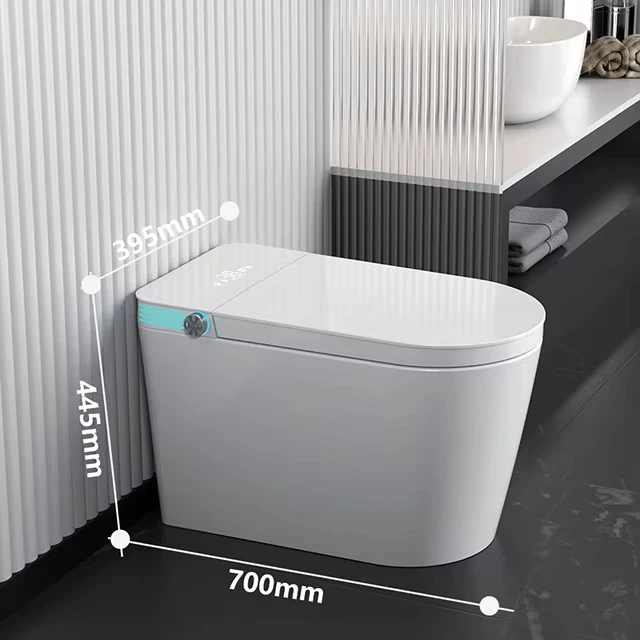Modern automatic sensing toilet with multi-function and S-drain function, including remote control