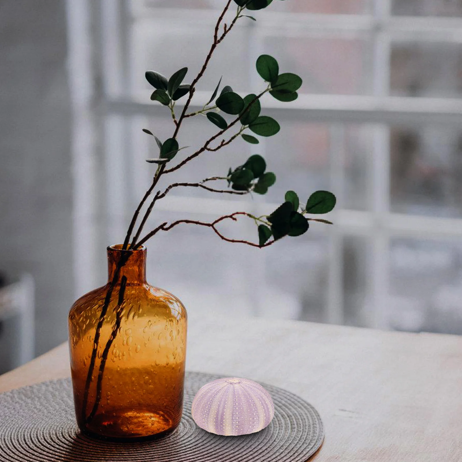 Concha de erizo de mar seca Natural, macetas creativas pequeñas para plantar, soportes para plantas de aire para decoración de escritorio, ventana y balcón, 3 uds.