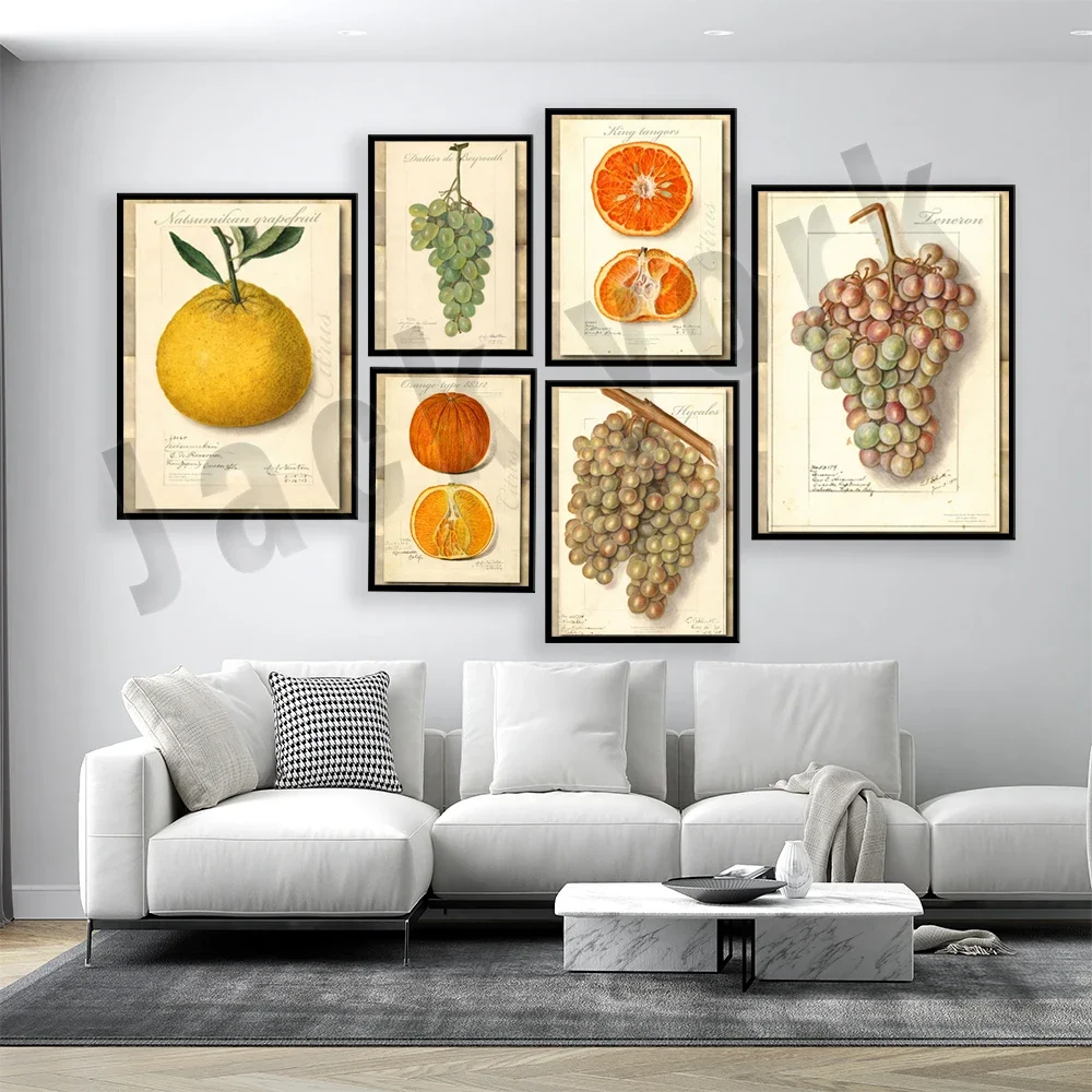 Vintage Watercolor Orange, Citrus, Lemon, Grape, Poster and Print Wall Art Canvas Painting Wall Picture Kitchen Decor
