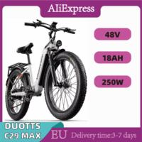 DUOTTS C29 MAX Adult Electric Bike 250W Motor E-Bike 48V18AH Battery 29 Inch  Off-Road Tires Urban commuting Electric Bicycle