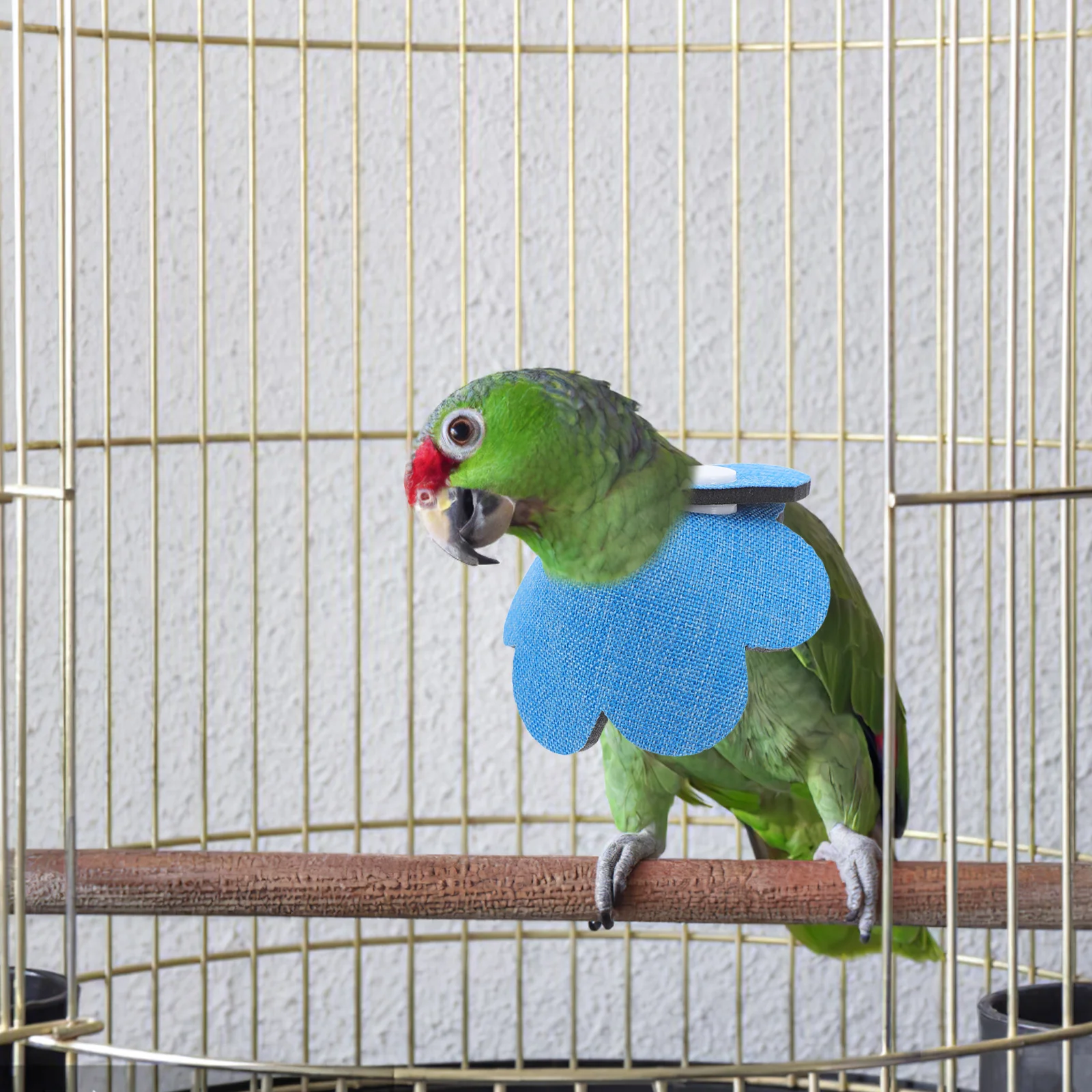 

2Pcs Bird Collar Protective Recovery Cone Anti-Biting Lightweight Neck Cover for Parakeets Budgies Lovebirds Cone Collar