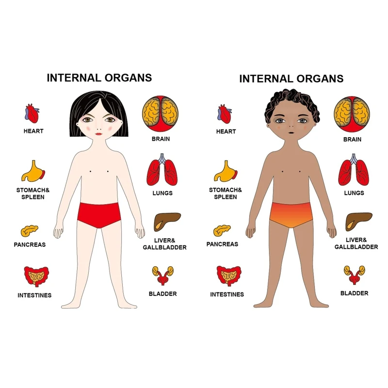 Zabawa dla dzieci nauka biologiczna zabawki edukacyjne symulowane anatomia człowieka szkielet Puzzle deski Montessori zabawka drewniana układanka