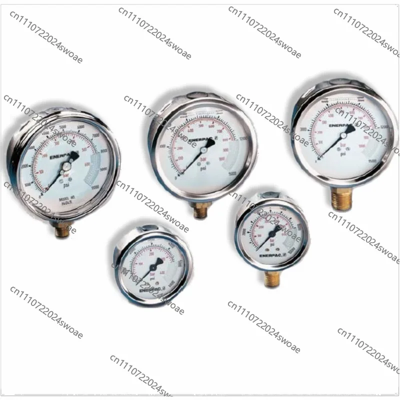 G Series Pressure Gauge G2535L G2535LM GF10B GP10S