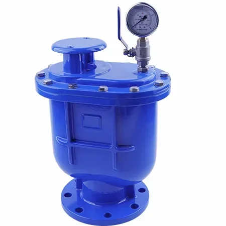 CARX Quick Air Release DN25-200 Manual Ductile Iron Composite Exhaust Valve Flange Water Control Diaphragm Structure 1.0-1.6Mpa
