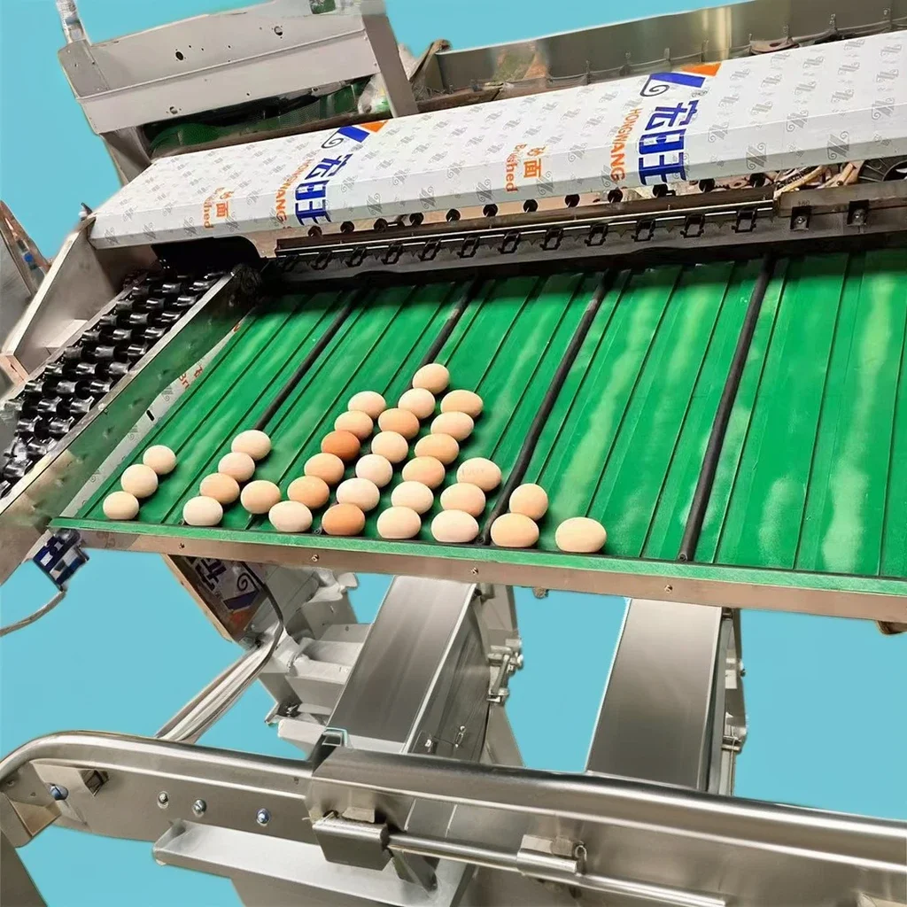 Electronic Scale Automatic Egg Inspection & Classify Size Sorter Grader Sort Egg Grade Machine/Egg weight-based classification