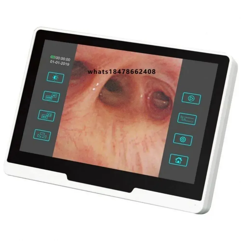 Portable Video Veterinary Soft Endoscope/Horse Upper and Lower Airways Veterinary Endoscope MSLGA285 Device