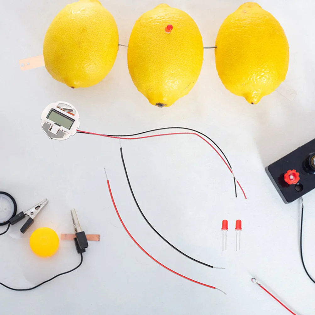 

2 Sets Fruit Experiment Kit Physics Electricity Science Teaching DIY Kids Clock Student Educational Toys Sensory Play