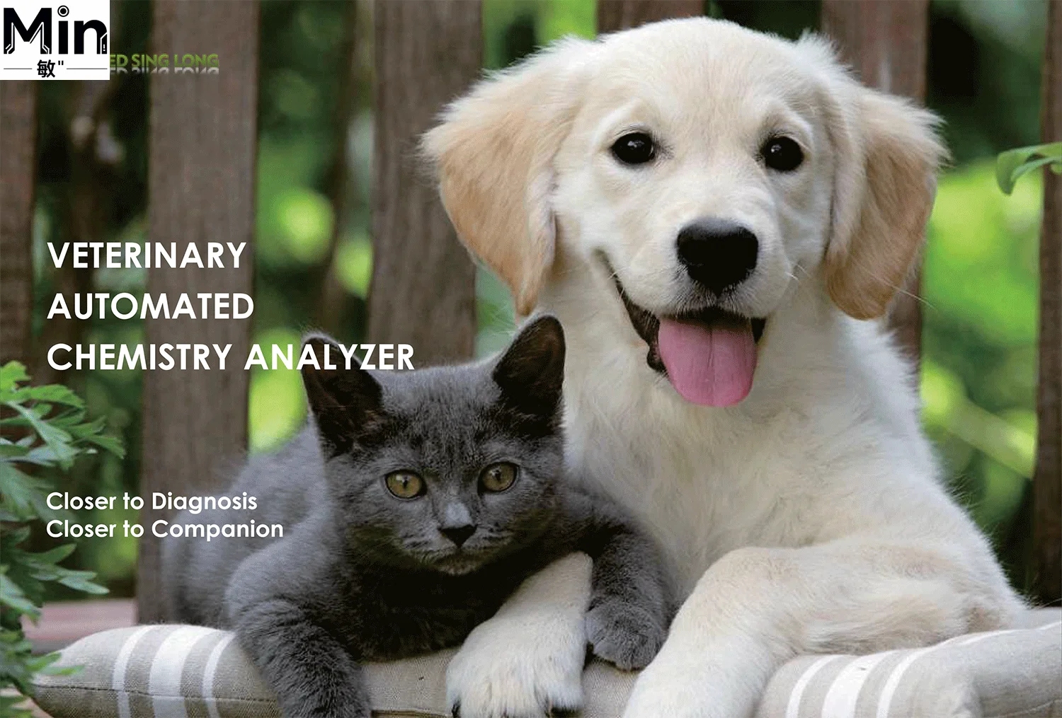 Automatic Veterinary Chemistry Full Automatic Biochemical for Animal Clinical Testing