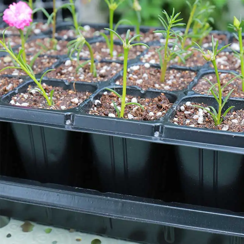 Bandejas de germinación para plantas de jardín, 10 unidades