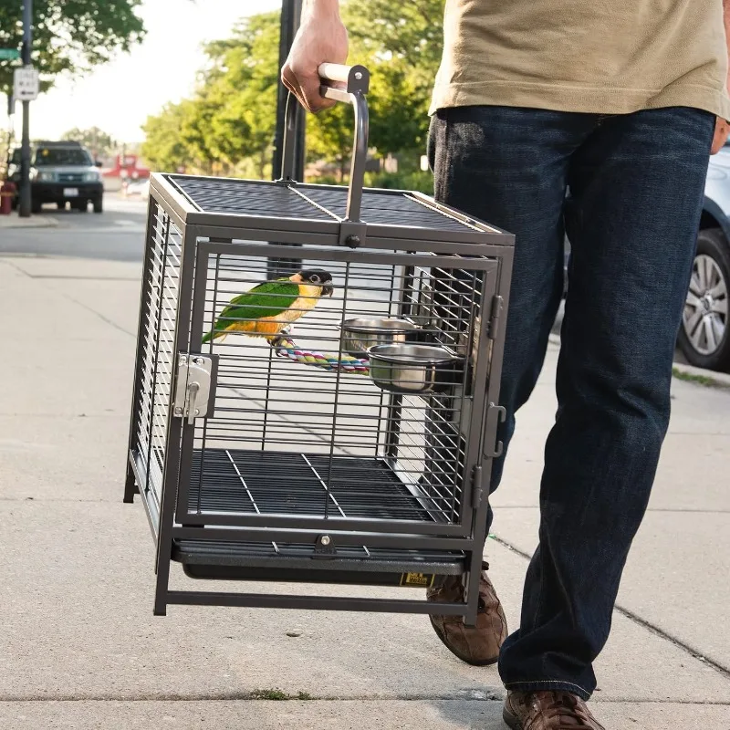 Black Light Carry Bird Transport Box Equipped with Perch, Secure Outdoor Travel Housing for Mini Parrots and Household Pet Birds