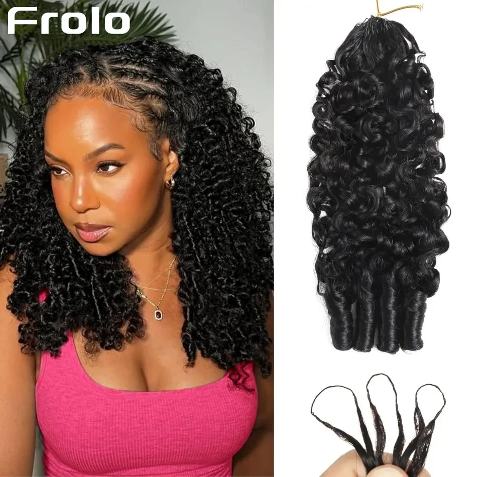 12A Burmese Curly C…