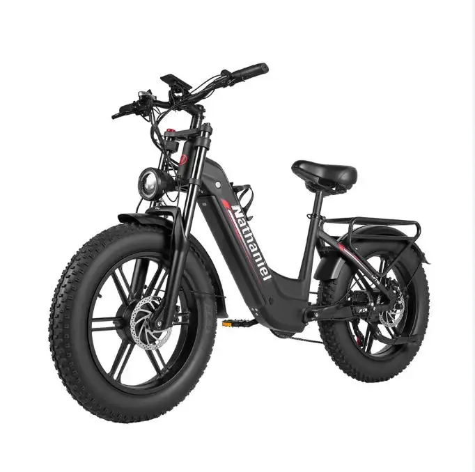 Nathaniel SYR08 Electric Bicycle 2000W Motor 48V 40Ah Battery electric bike 50km/h 20 Inch Tire off road riding mountian E-Bike image 7
