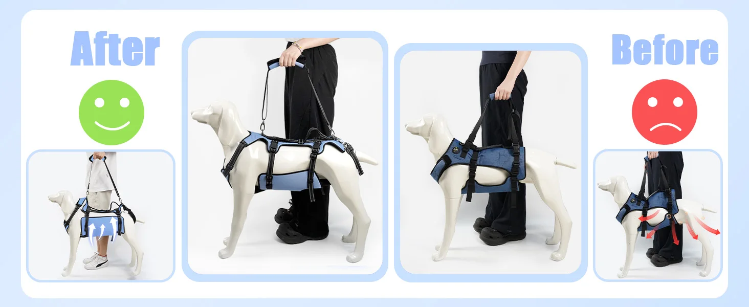 https://ae-pic-a1.aliexpress-media.com/kf/S4e49773ce15a4e3cac7692f46f62742fZ.jpg?width=1464&height=600&hash=2064