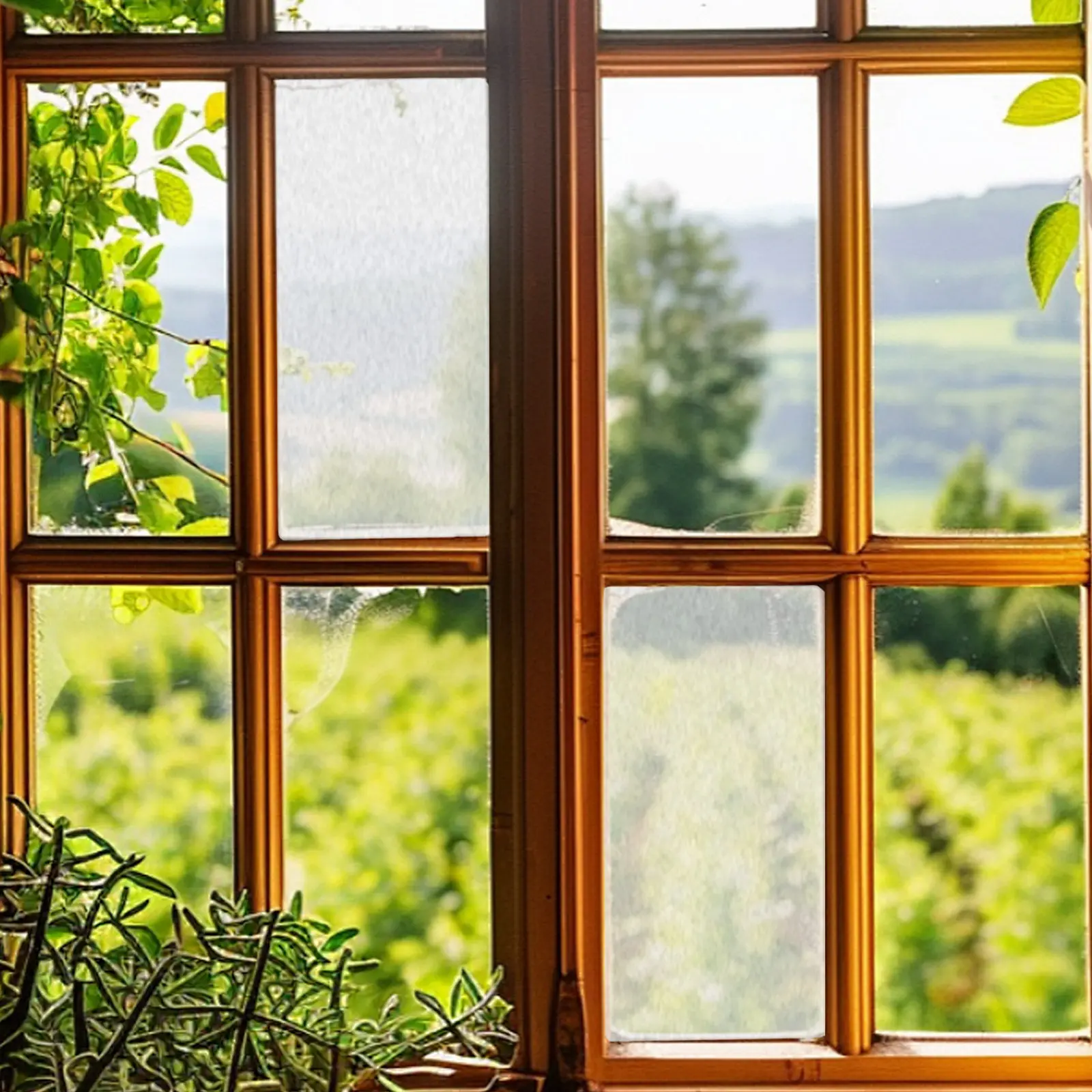 Translucent Frosted Glass Window Film Static Cling Privacy Filter Uv Protection Sun Blocking Light Transmission Decorative