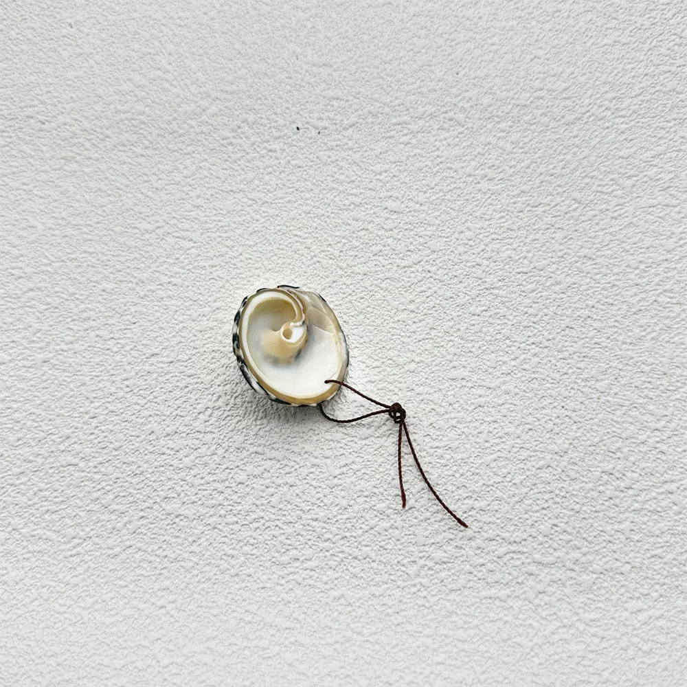 Natural gemstone conch pendant,  DIY Handmade Jewelry 35×32×22mm, 11.5g