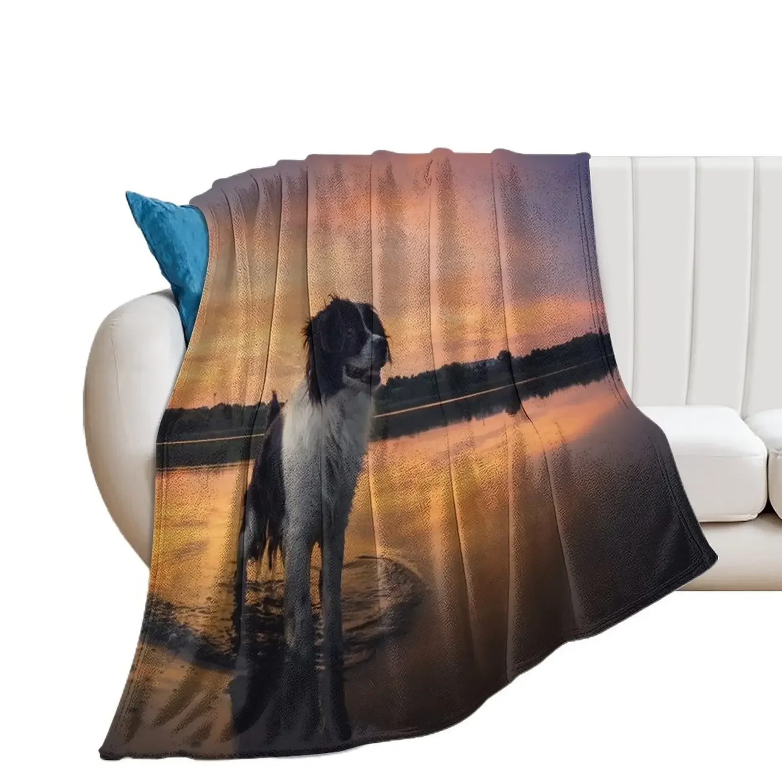 

beautiful dog at sunset Throw Blanket Travel Fashion Sofas Blankets