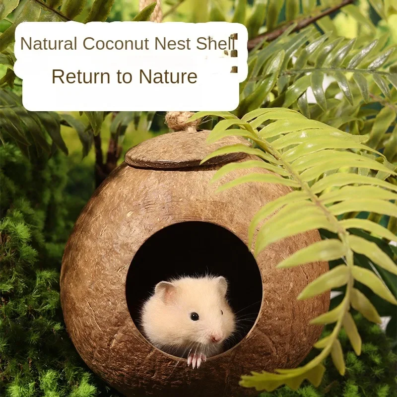 Handmade Coconut Shell Hamster Nest Polishing and Polishing Small Animal Wood Avoidance Nest Golden Bear Totoro Parrot Nest Bird