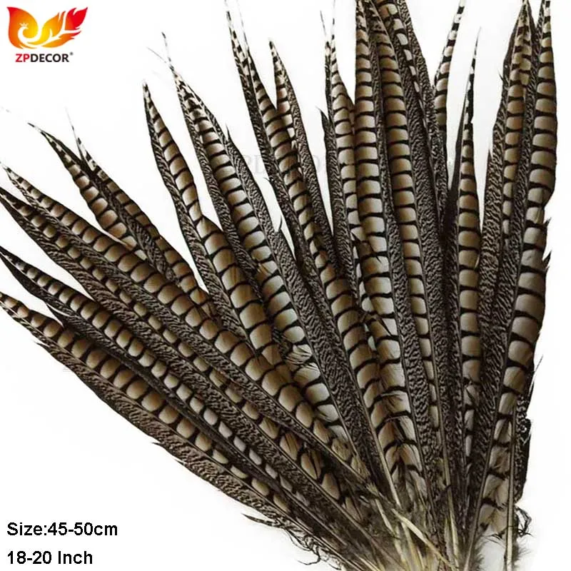 

ZPDECOR Natural 45-50cm 18-20 Inch Lady Amherst Pheasant Feathers