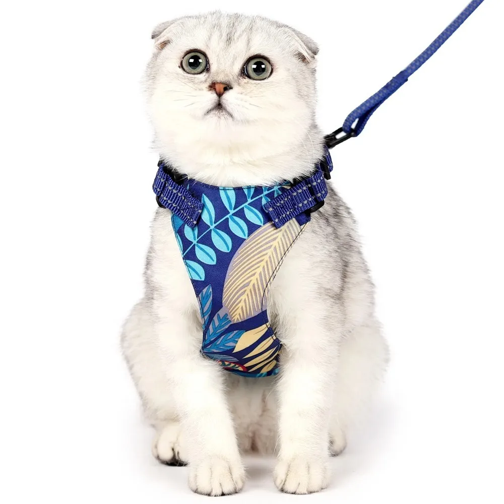 

Cat Harness Adjustable Vest Walking Traction Rope Set for Dog Collar Harness for Small Medium Cat Dog Pet Lead