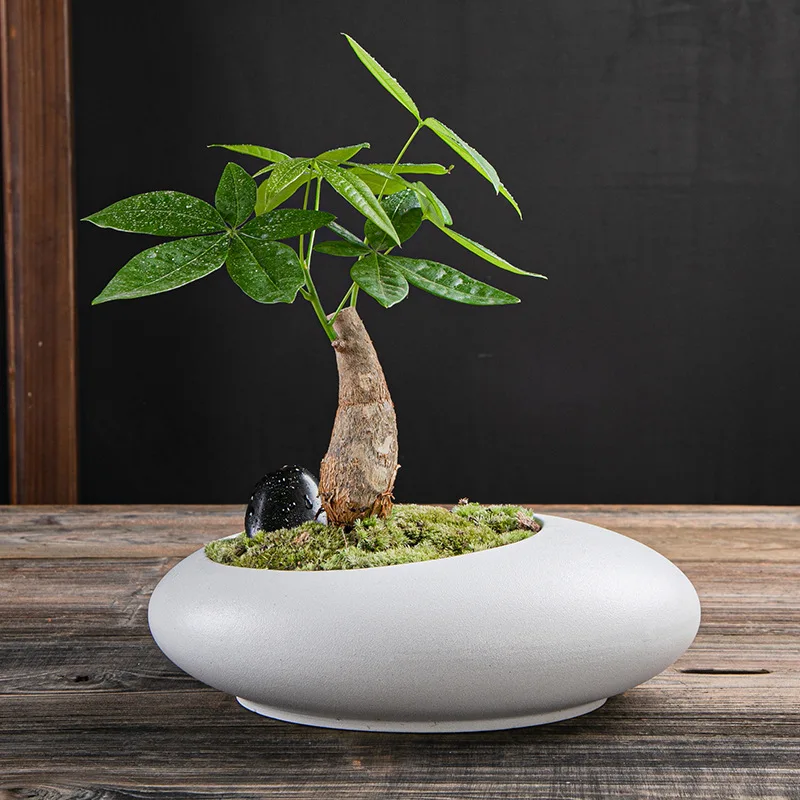 Large-caliber ceramic flowerpot plant micro-landscape potted plant in the office balcony ceramic breathable flowerpot tree pot