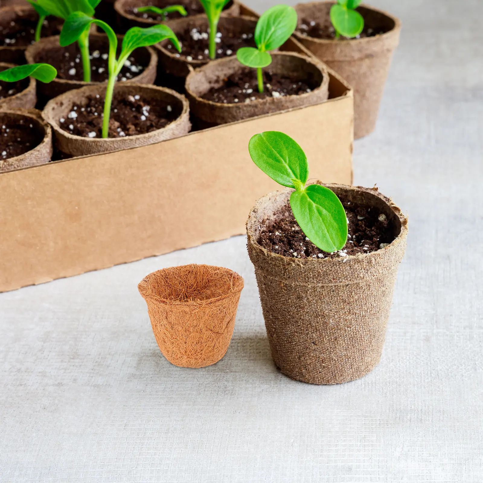 12Pcs Coconut Coir Plant Liner Rustic Succulent Planter Basket Breathable Soil Aeration Mini Flower Pot Garden Decorative