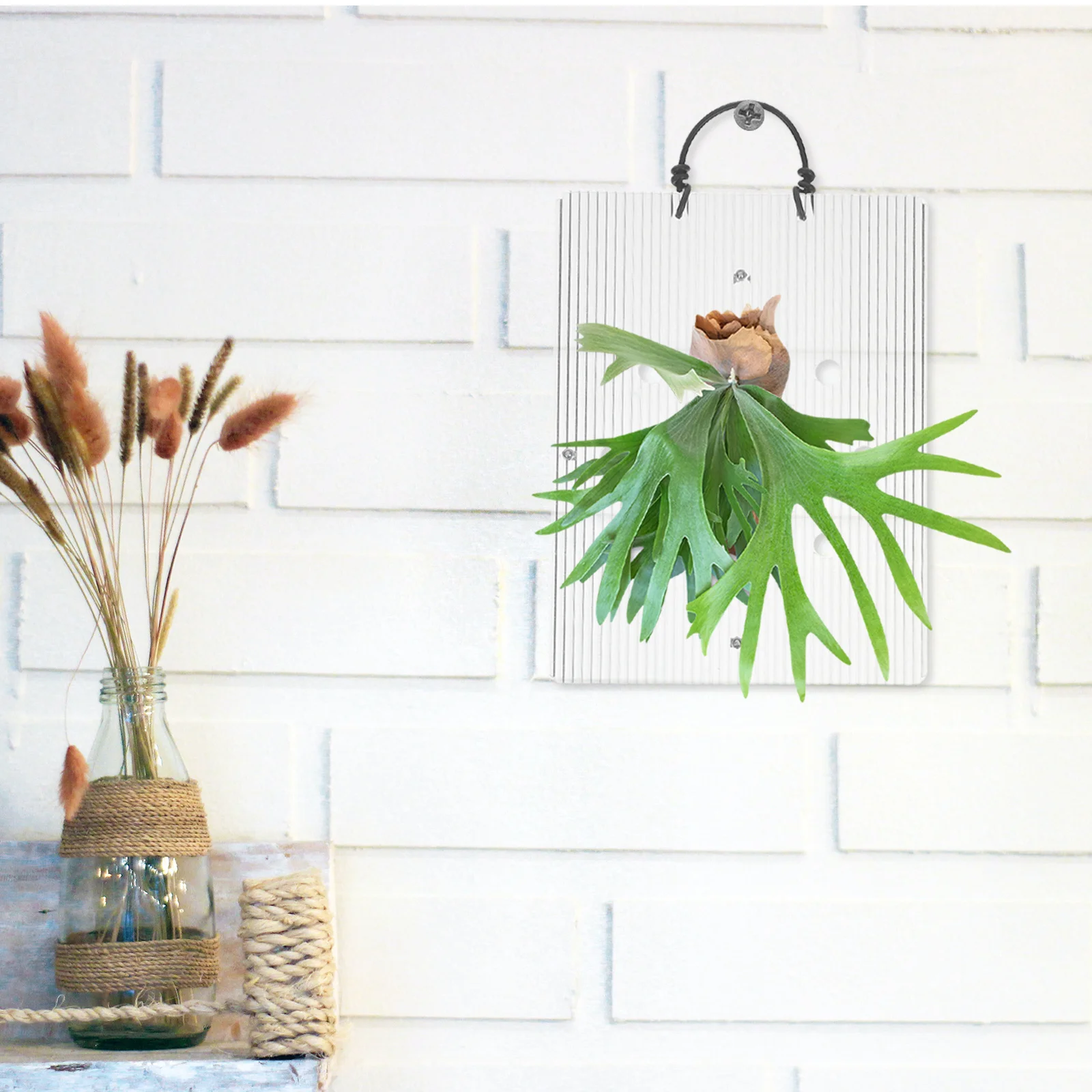 Tablero de montaje de helecho acrílico, marco de macetero de pared, plantas de interior verticales, fácil instalación, purificador de aire