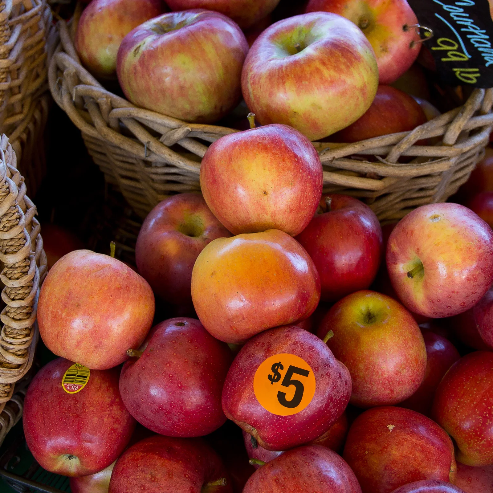 

1000Pcs Round Pricemarker Labels Preprinted Easy to Read Pricing Stickers Retail Store Garage Yard Sale Supply