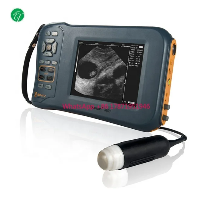 Farmscan L60 Handheld Portable Cattle Equine Sheep Pig handheld veterinary ultrasound machine