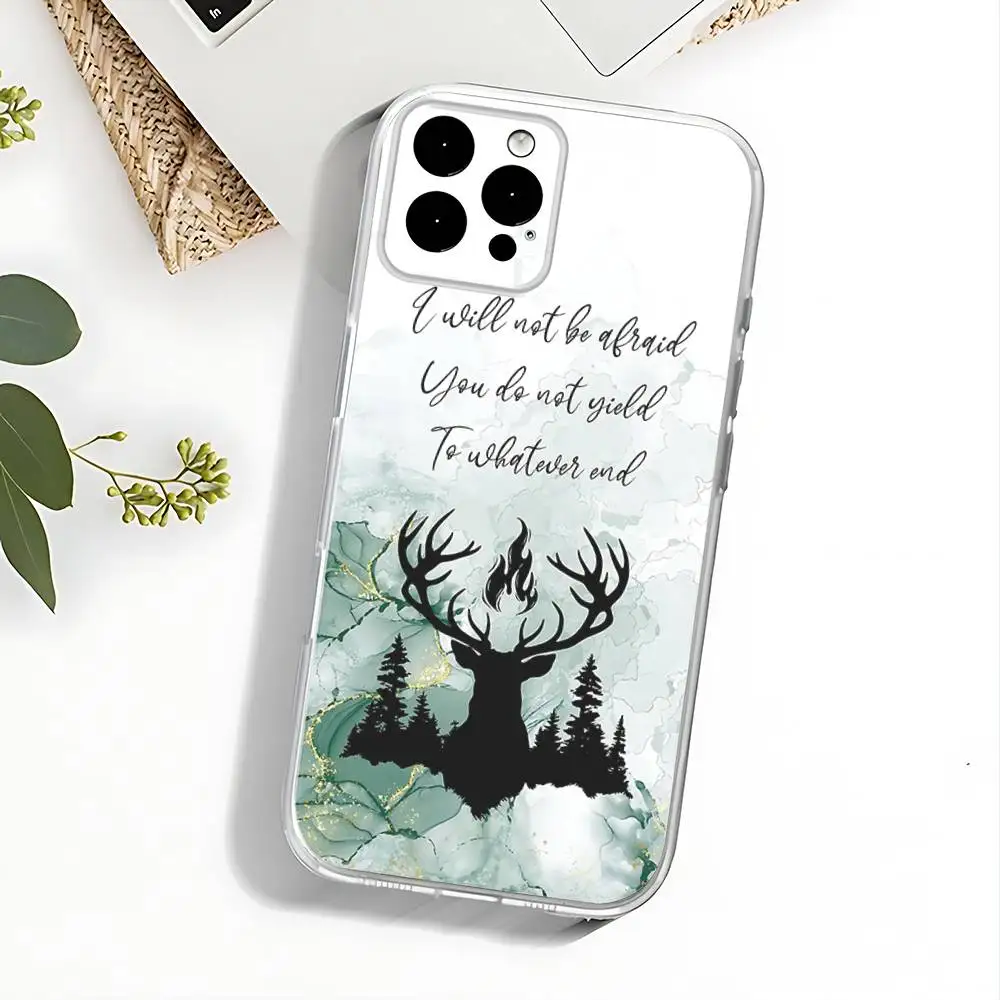 T-Throne Of Glass Handyhülle für iPhone 17,16,15,14,13,12,11 Pro,Max,Plus,X,XS,XR,SE4,E Mini Transparente Softcover