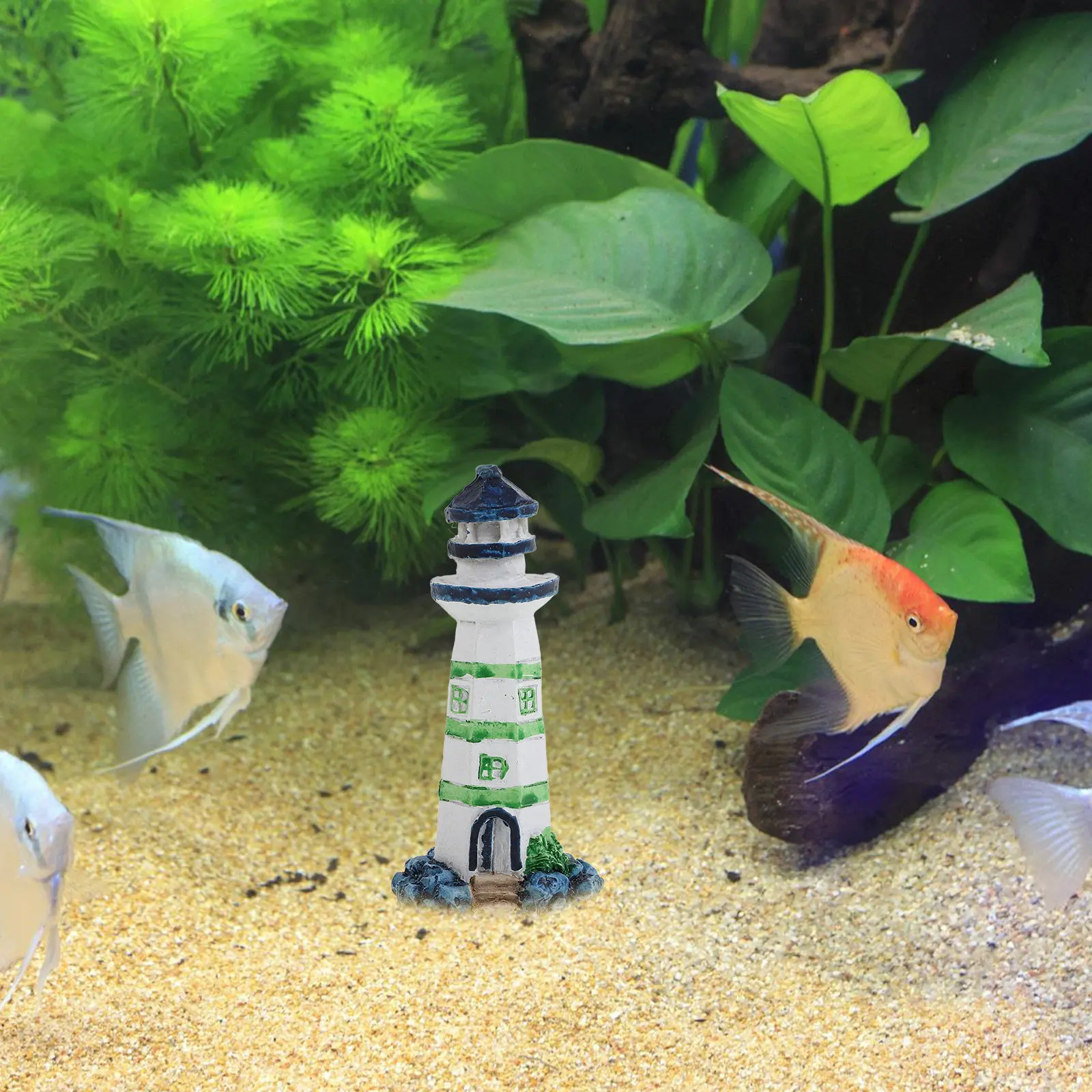 1 Adet Reçine Deniz Feneri Akv - Aquarium Fish Restaurant incelemesi ve fiyatı