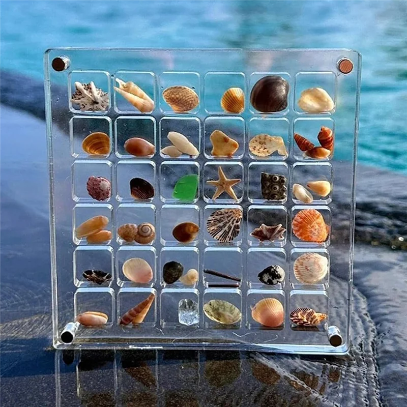 A47Z Acrylic Seashell Display Box Transparent Acrylic Seashell Storage Box Display Box(36 Grids)